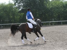 IMG_1400_web